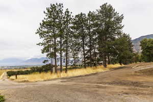 Mountain view featuring rural landscape