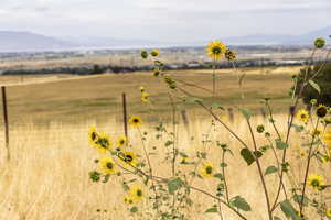 Water view featuring a mountain backdrop