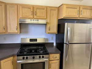 Kitchen with stainless steel appliances, dark countertops, tasteful backsplash, and under cabinet range hood