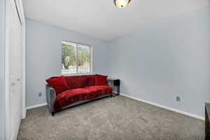 NEW carpet, second bedroom