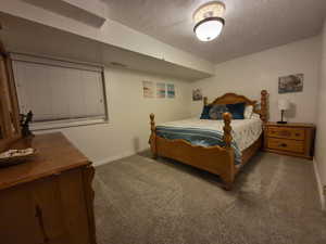 Second basement bedroom with large walk in closet.