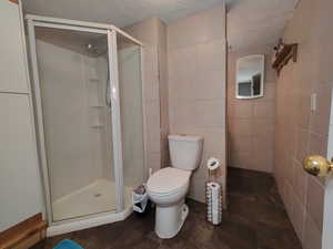 Basement bathroom with shower and cupboard for linens.