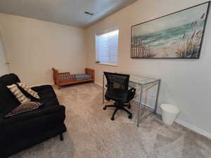 Third basement bedroom with large walk in closet.