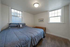 Bedroom featuring carpet floors, multiple windows, and a textured ceiling