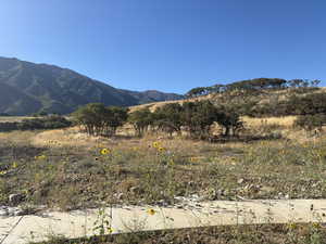 View of mountain background with rural landscape