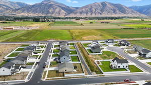 Aerial perspective of suburban area featuring a mountainous background