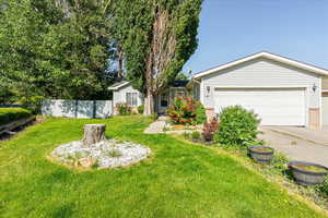 View of yard with concrete driveway and a garage