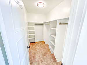 Spacious closet featuring light carpet