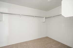 Walk in closet with carpet