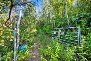 View of yard with a gate and a forest view