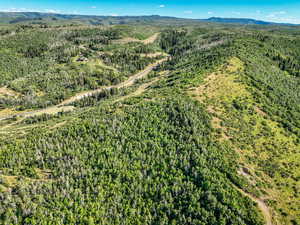Aerial view of property and surrounding area with a forest and a mountainous background