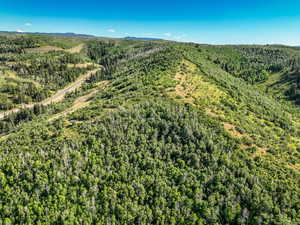 View of property location with a forest and a mountainous background
