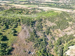Aerial overview of property's location with a forest