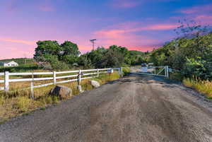View of dirt / gravel road