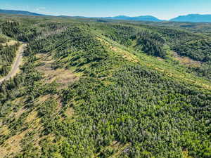 Aerial view of a heavily wooded area and mountains