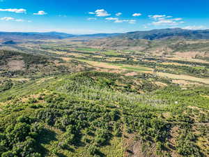 Aerial view of a mountainous background and a forest
