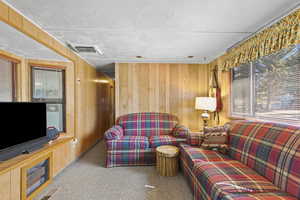 Living area with wood walls, carpet, and a textured ceiling