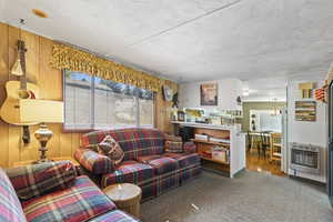Carpeted living room with heating unit, a textured ceiling, and wood walls