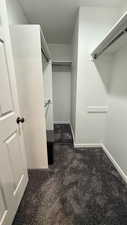 Spacious closet featuring dark colored carpet