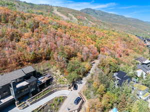 Bird's eye view of mountains