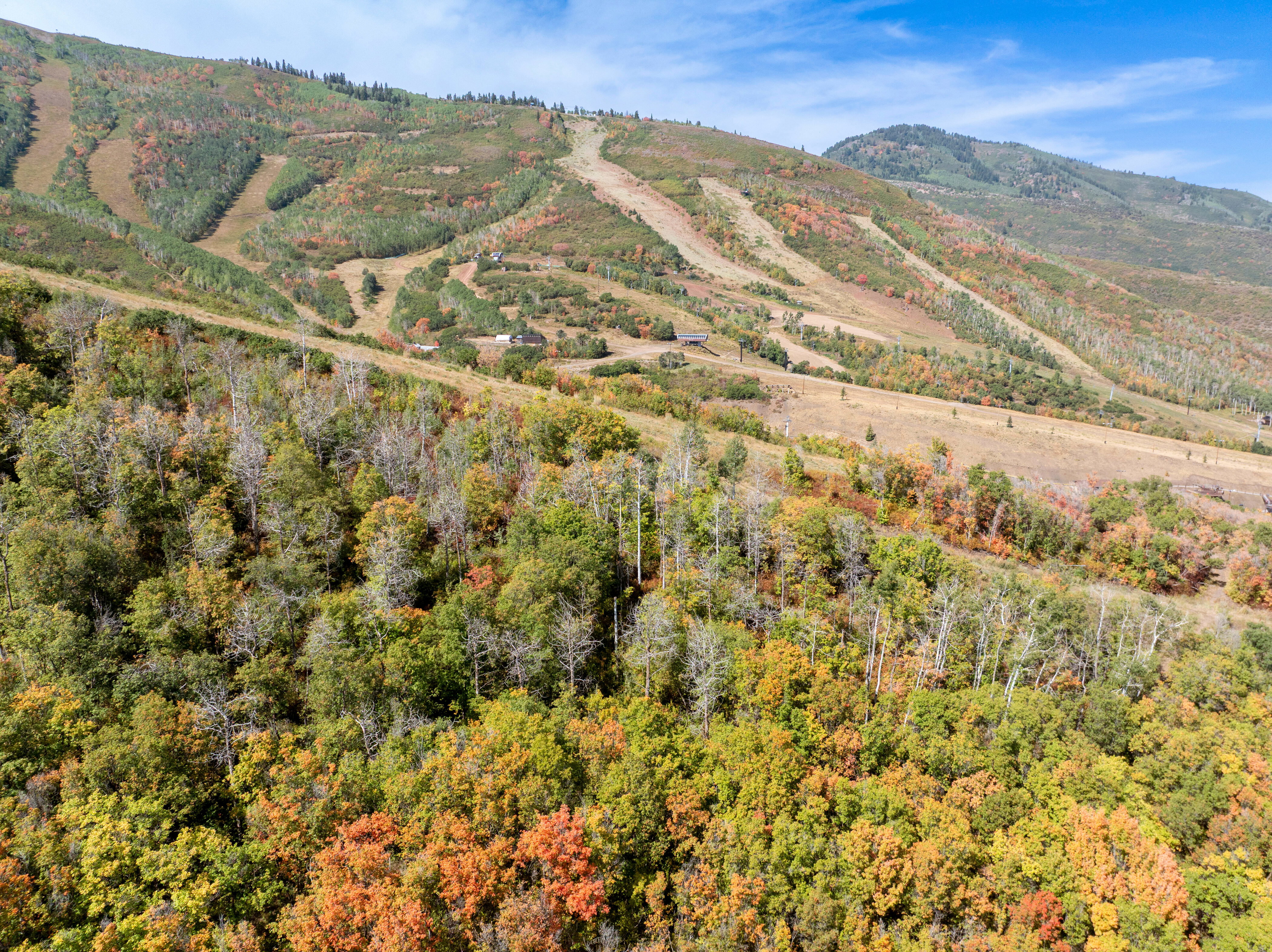 View of mountain background