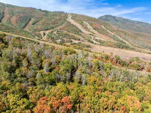 View of mountain background