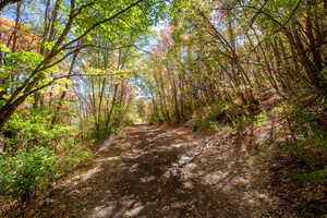 View of street with a wooded view