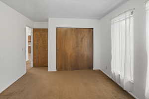 Bedroom featuring carpet floors