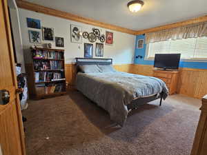 Carpeted bedroom featuring wood walls and a wainscoted wall