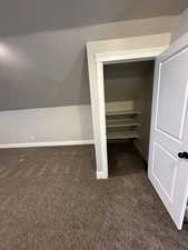 Storage closet in Bonus room area
