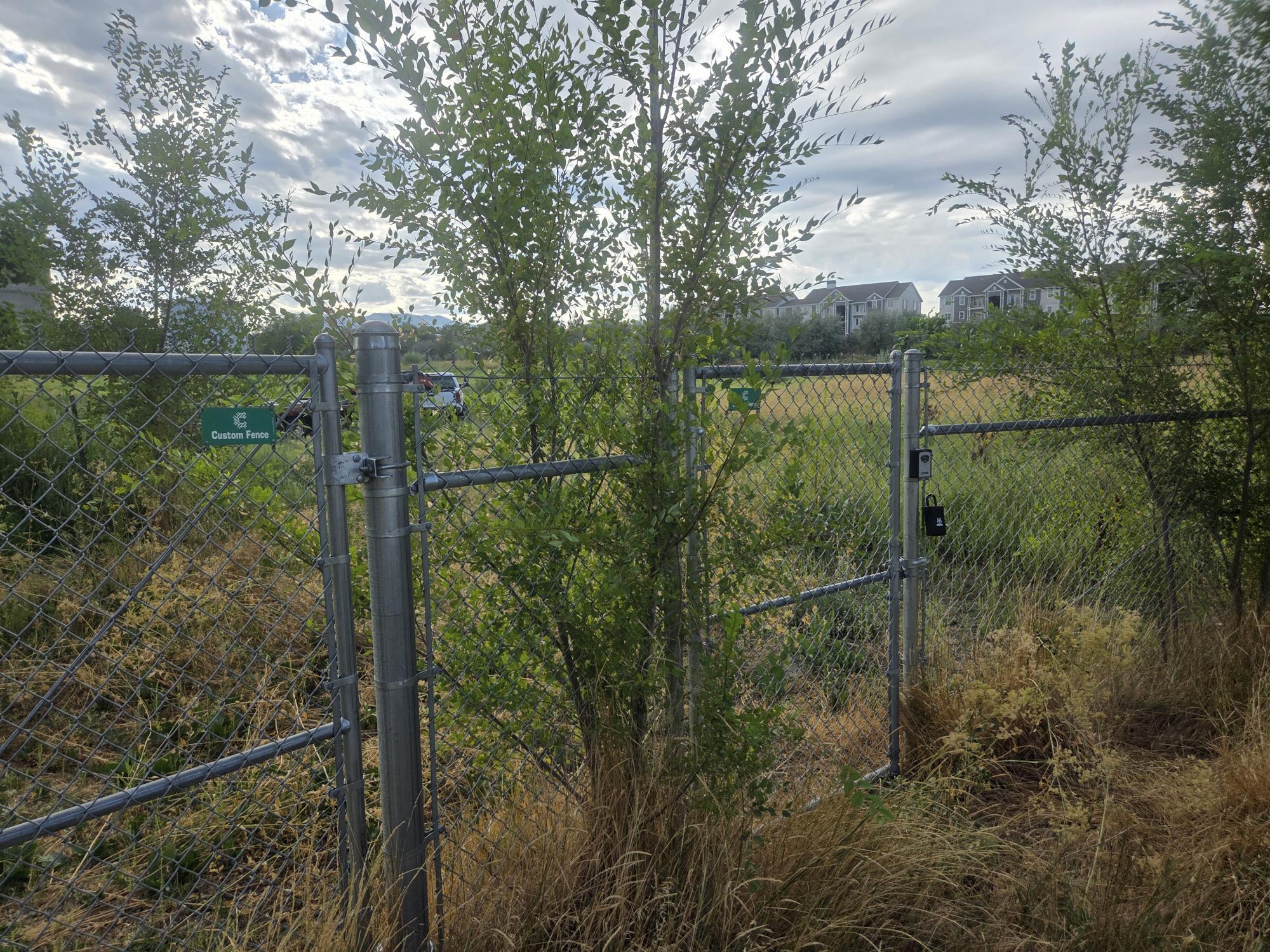 View of gate