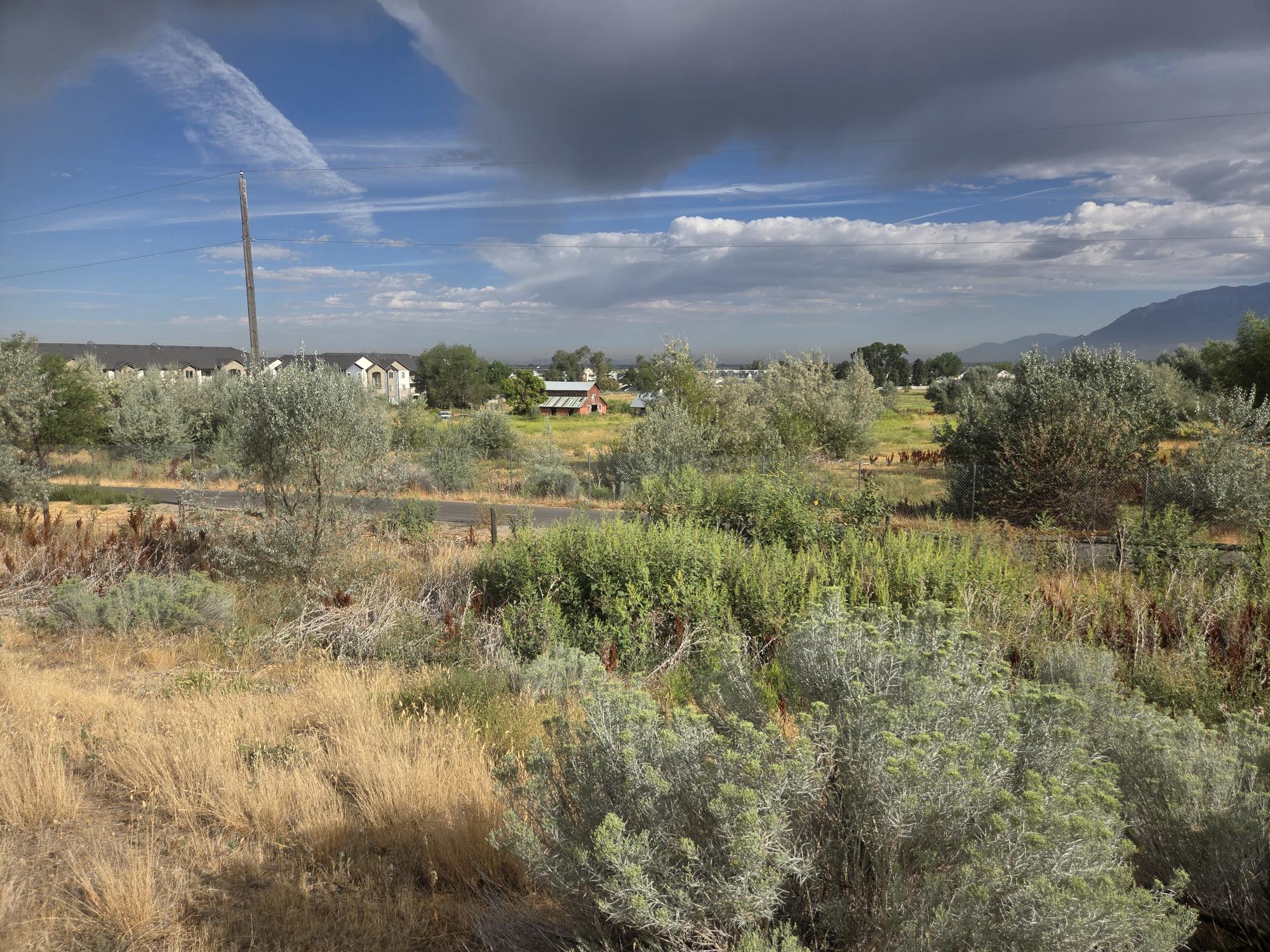 View of nature