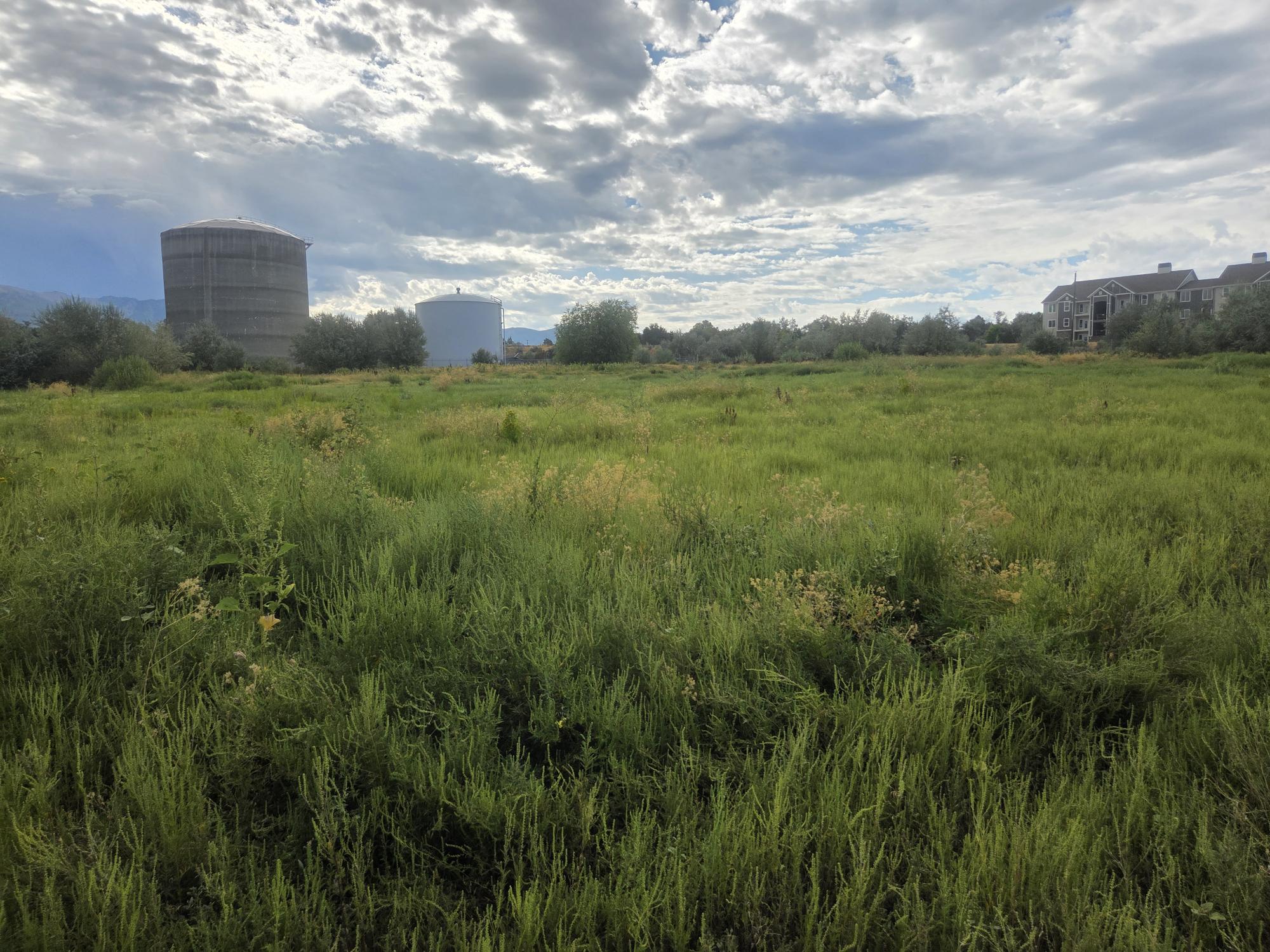View of local wilderness featuring rural landscape