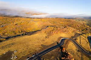 Aerial view of property and surrounding area featuring a heavily wooded area and mountains