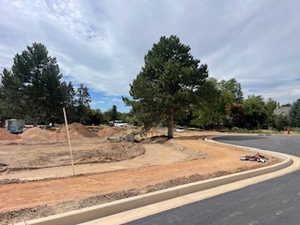 View of asphalt street featuring curbs