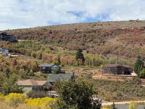 Bird's eye view of a forest