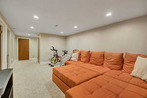 Basement Family Room