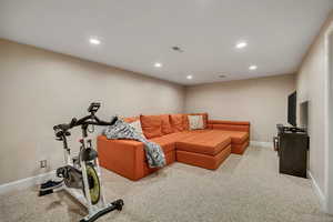 Basement Family Room