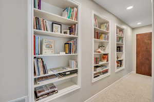 Custom Bookshelves