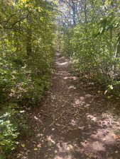 Trail Leads to property and to the upper portion of the mountains