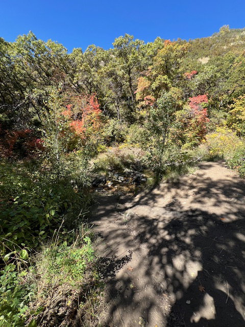 This trail is called Bonniville shore-line trail. Burch Creek runs on North side of this trail.
