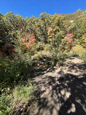 This trail is called Bonniville shore-line trail. Burch Creek runs on North side of this trail.