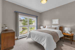 Bedroom with light carpet and a baseboard radiator