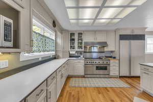 Kitchen featuring high quality appliances, healthy amount of natural light, light wood-type flooring, and light countertops