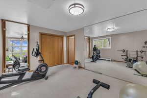 Exercise room featuring carpet and a baseboard radiator