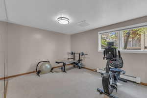 Workout room featuring carpet floors and a baseboard heating unit
