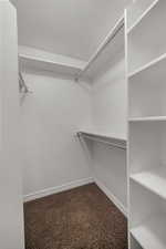 Walk in closet featuring dark carpet