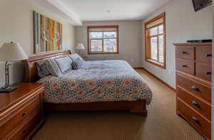 Bedroom featuring light carpet and multiple windows
