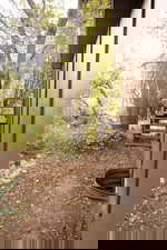 View of yard featuring stairway