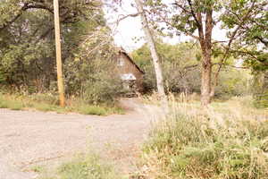View of dirt / gravel driveway